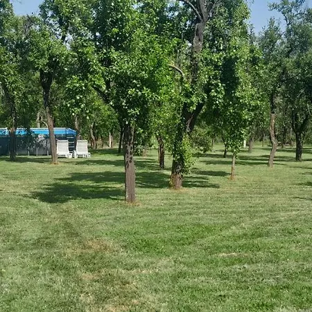 Vikendica Gaj Case de vacanță Gornji Milanovac